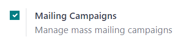 View of the campaign feature setting in NightPOS Email Marketing.