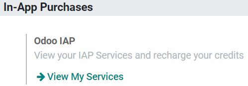 Using NightPOS IAP to recharge credits for SMS Marketing in NightPOS settings.