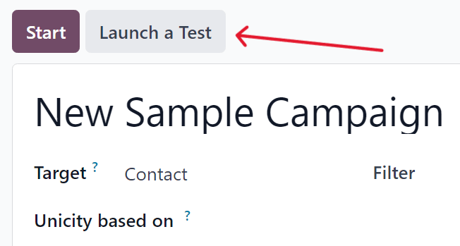Launch a test button on a campaign detail form in NightPOS Marketing Automation.