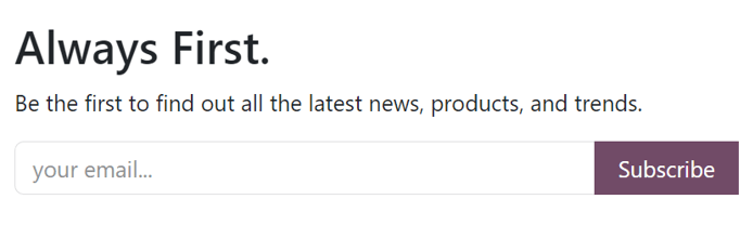Sample of how a newsletter block appears on an NightPOS Website.