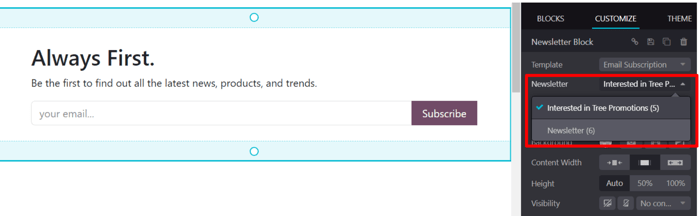 The newsletter drop-down menu in the customize sidebar that appears in NightPOS Website.