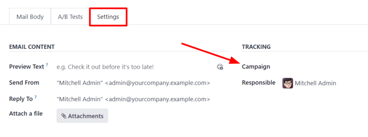 View of settings tab in NightPOS Email Marketing when campaign setting is activated.