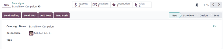 View of the campaign form in NightPOS Email Marketing.