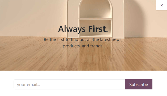 Sample of how a newsletter popup block appears on an NightPOS Website.